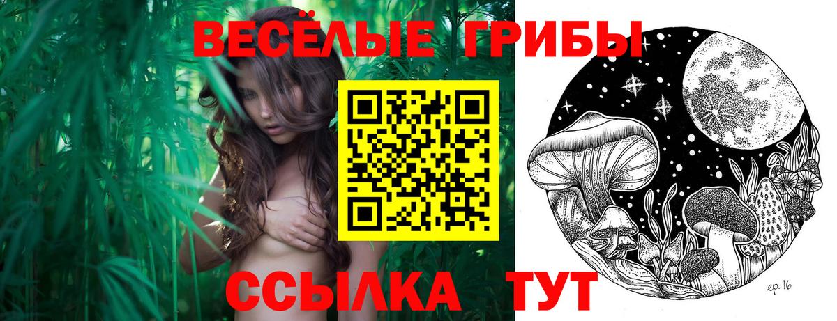 Карачаевск  Галлюциногенные грибы ЛСД  Вход с VPN 