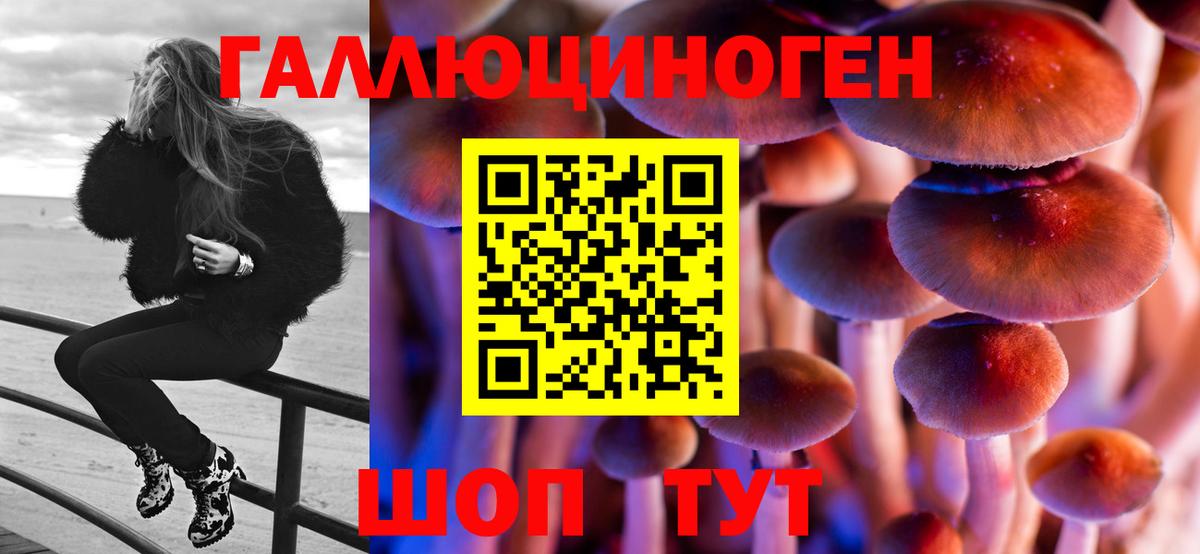 Галлюциногенные грибы GOLDEN TEACHER Карачаевск